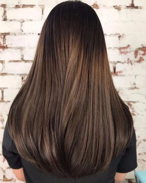 Chestnut Highlights on brown hair