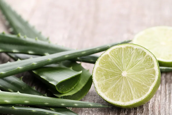 aloe vera and lemon diy face mask