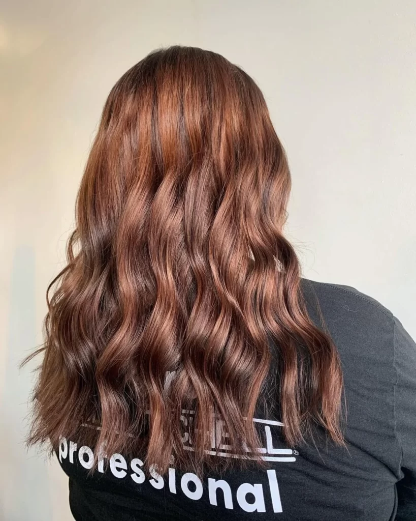 auburn highlights for dark brown