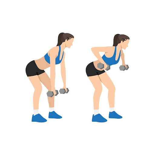 Dumbbell Rows