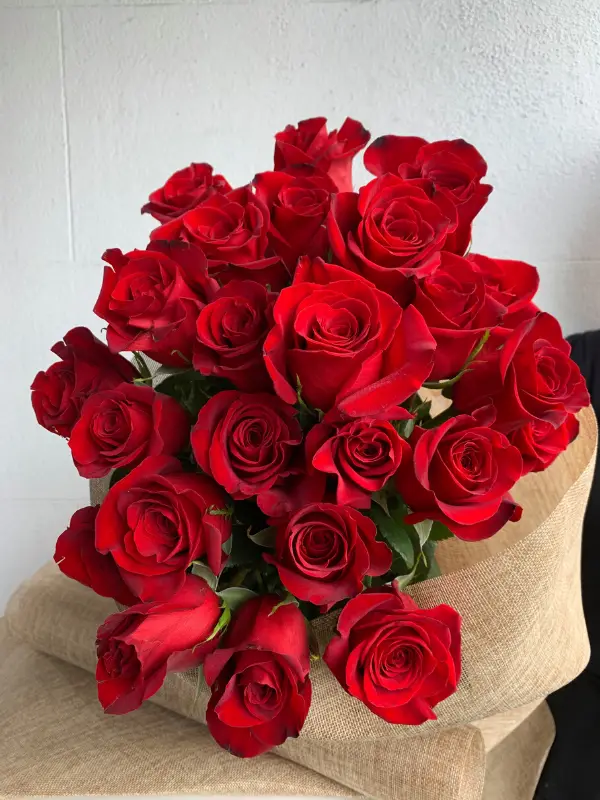 red roses