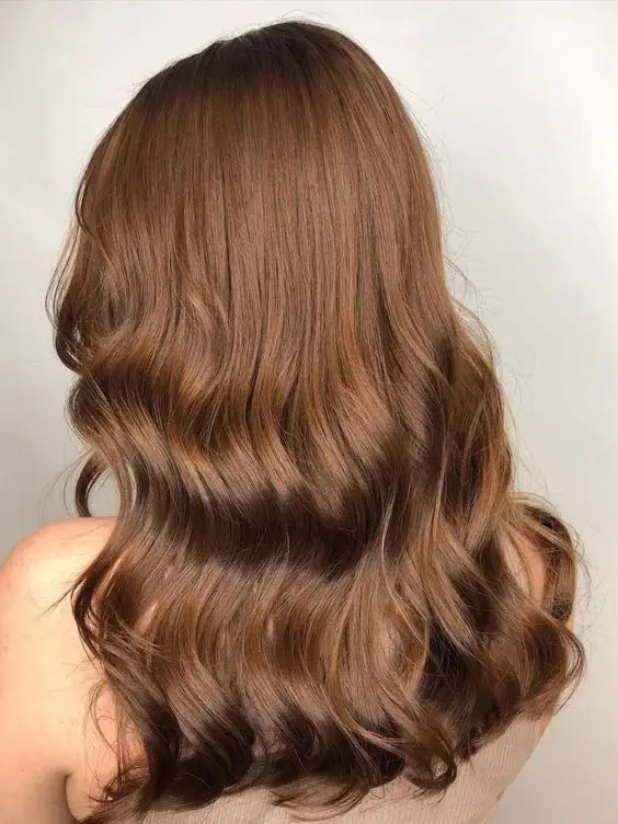 Chestnut Brown hair color